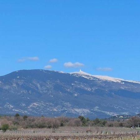Modene Mon Ventouxヴィラ エクステリア 写真